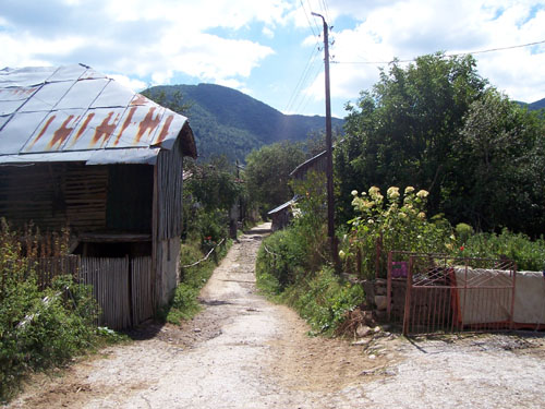 Gorna Arda